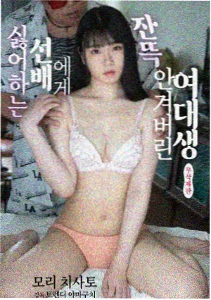 哚哚2021好看电视剧 警察荣誉